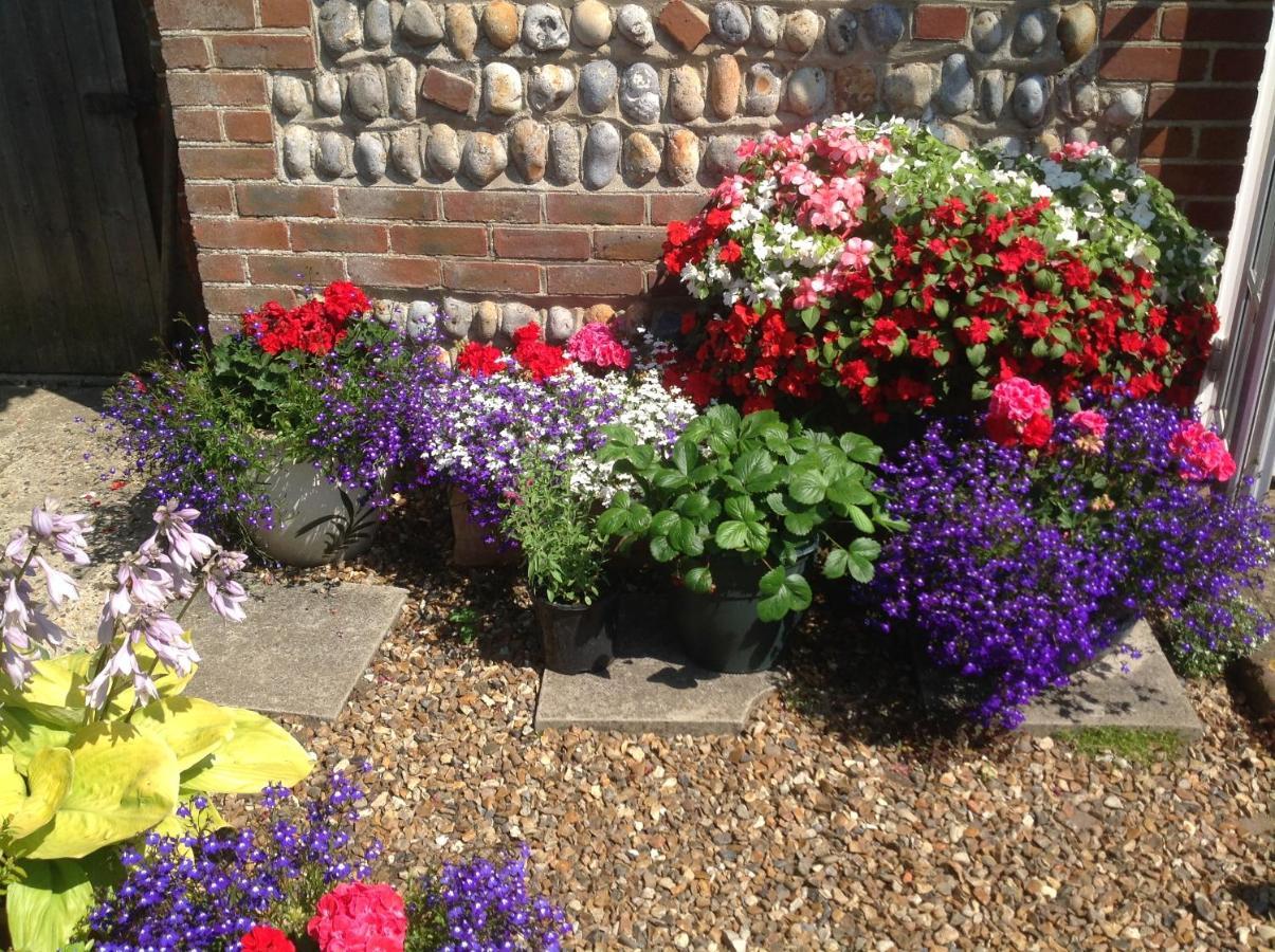 Walcott  Primrose Cottage المظهر الخارجي الصورة